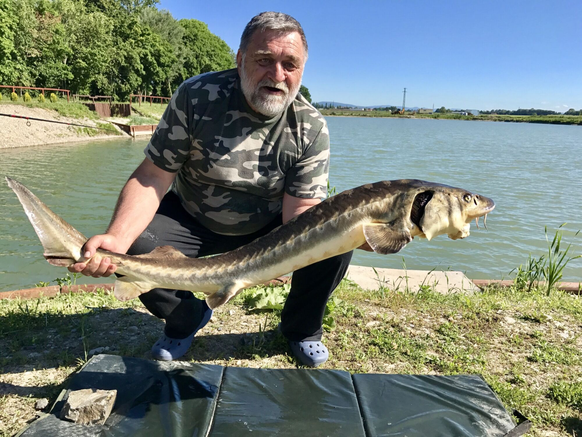 Jazero Borovce, rybolov, lov rýb, kapor šťuka, sumec, jeseter, rybačka, lovný rybník, športový rybolov, rybárčenie, rezervácie lovných miest, povolenka na lov rýb