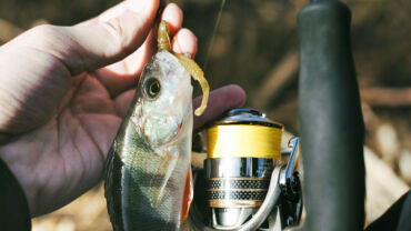 Povolenka na rybolov