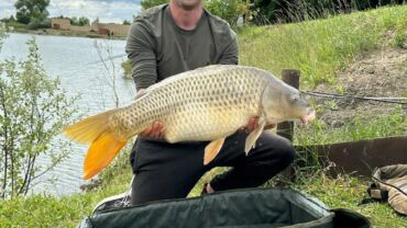 Kaprík chytený na Eko boilies z Jazero Borovce