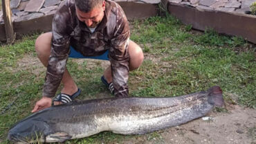 Vyhratý boj – Sumec 161 cm chytený na vábničku